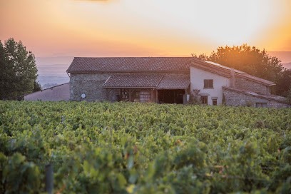 Sarl Du Clos Saint Marc, Vignoble à Taluyers