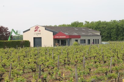 Domaine De L' Aurée, Vignoble à Souzay-Champigny