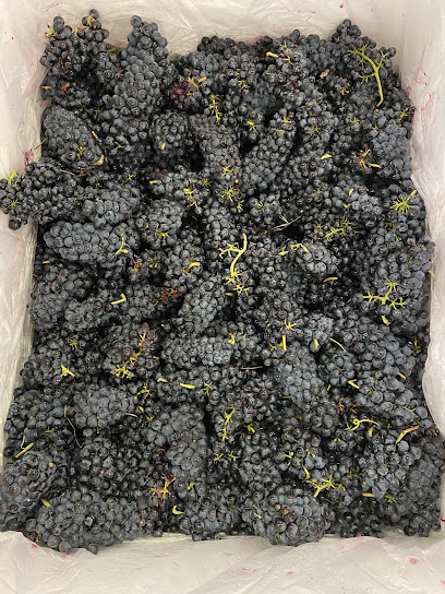 Le Chai, Vignoble à Augny