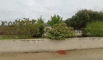 Delaunay Pére et Fils, Vignoble à Bourgueil