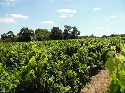 Clos Montagne - Hubert Béraud-Sudreau, Vignoble à Cénac