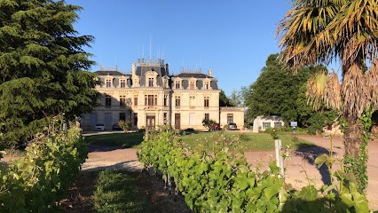 Château Tayac, Vignoble à Saint-Seurin-de-Bourg