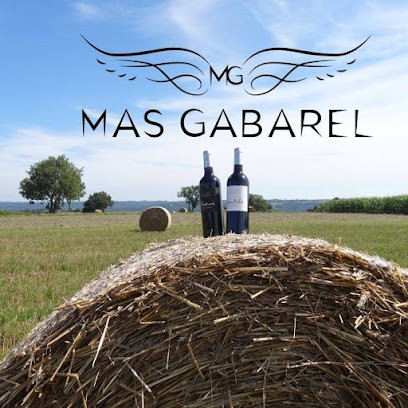 Domaine Mas Gabarel Vins Biologiques VALROS, Vignoble à Valros