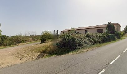 Domaine de la Pierre Noire, Vignoble à Saint-Georges-Haute-Ville