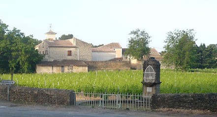 Domaine Saint Michel, Vignoble à Uchaux