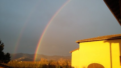 Emmetière Ludovic, Vignoble à Saint-Étienne-la-Varenne