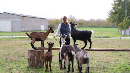 Domaine Roger Pabiot, Vignoble à Tracy-sur-Loire