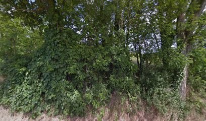 Vernozy Bernard, Vignoble à Frontenas