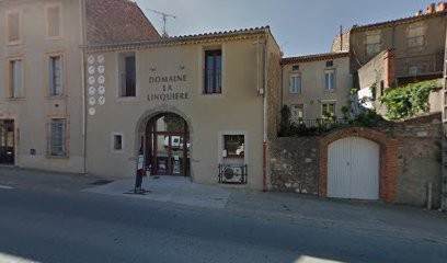 Salvestre Robert, Vignoble à Saint-Chinian