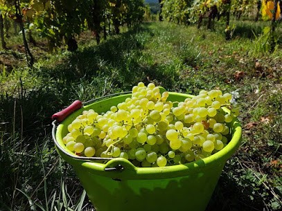 Vignobles André Hartmann, Vignoble à Voegtlinshoffen