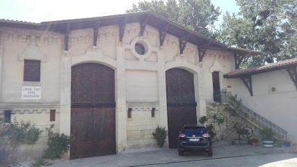 Earl Du Chateau Nodoz, Vignoble à Tauriac