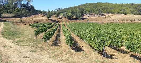 Château Des Platanes Vignoble à Flayosc