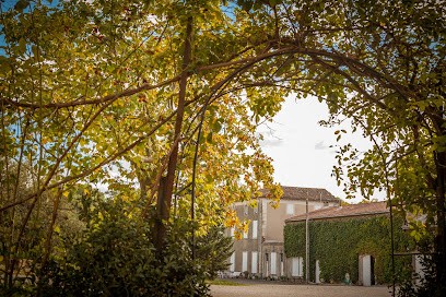 Château La Dournie SAS, Vignoble à Saint-Chinian