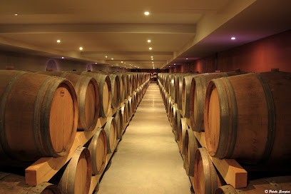 Vineyards DOM BRIAL, Vignoble à Baixas