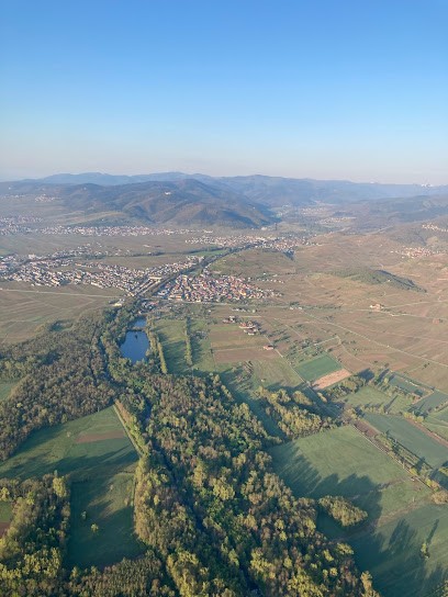 FLEITH Vincent & Brigitte – Vignerons en biodynamie, Vignoble à Ingersheim