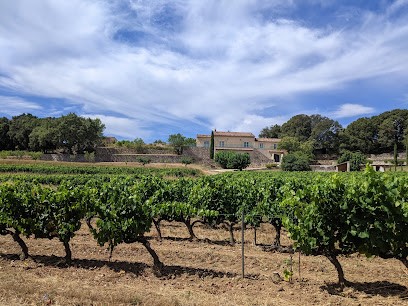 Domaine du Poucet, Vignoble à Cotignac