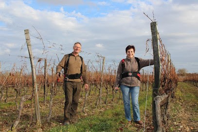 Domaine André, Vignoble à Villars-les-Bois