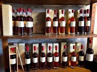 Domaine De Sancet, Vignoble à Saint-Martin-d'Armagnac