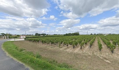 Estager Claude, Vignoble à Néac