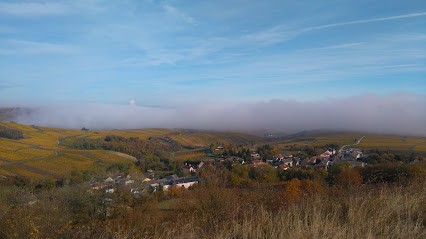 La Clef Du Récit, Vignoble à Vinon