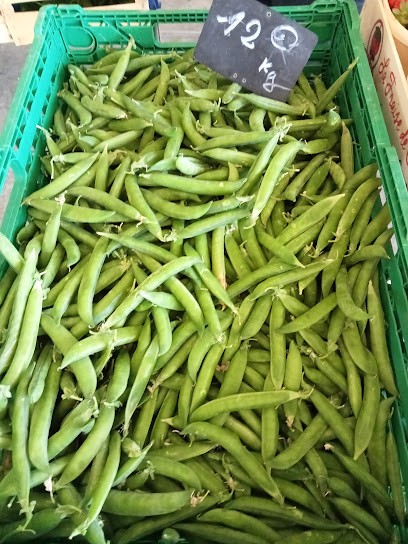 Faraud Raymond, Vignoble à Châteauneuf-de-Gadagne