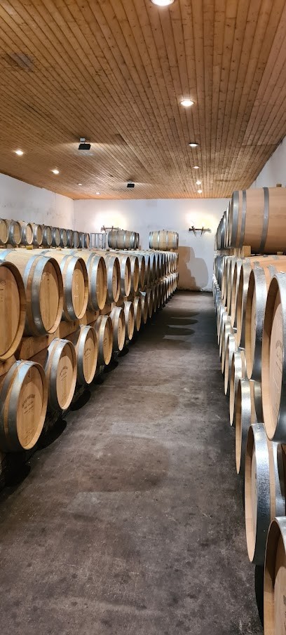 Château Picque Caillou, Vignoble à Mérignac