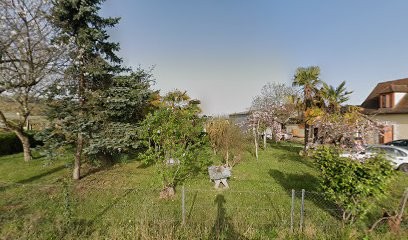 Domaine Le Petit Marsalet, Vignoble à Saint-Laurent-des-Vignes