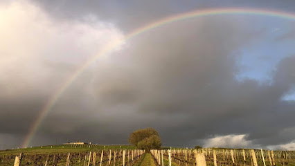 Château Mazetier Vignoble à Saint-André-du-Bois