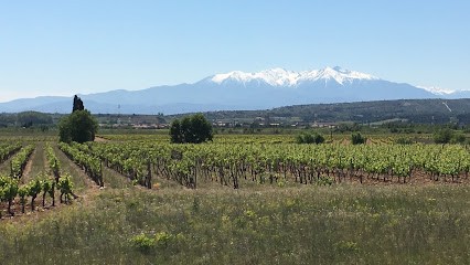 Domaine Rety, Vignoble à Espira-de-l'Agly