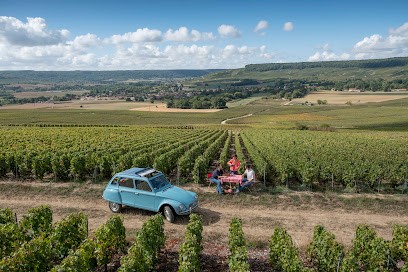 Champagne Météyer Père Et Fils, Vignoble à Trélou-sur-Marne