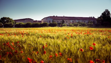 Domaine D'Espeyran, Vignoble à Saint-Gilles