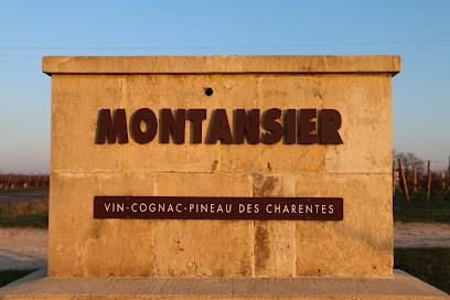 Domaine Montansier - SARL JOBIT, Vignoble à Graves-Saint-Amant