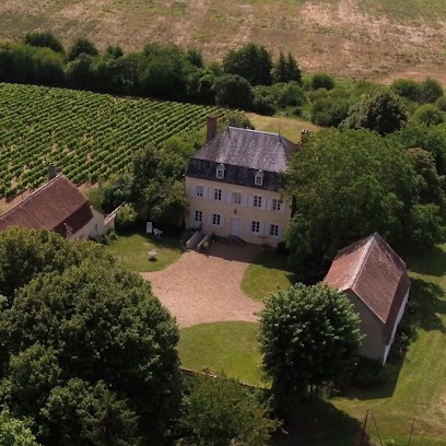 Château Favray (Pouilly Fumé), Vignoble à Saint-Martin-sur-Nohain