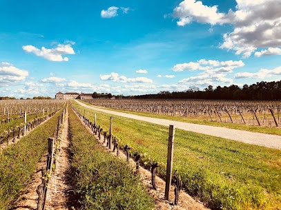 Château Crabitey, Vignoble à Portets