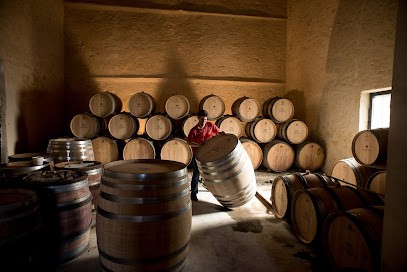 Vignobles Woillemont - Château De Marmorières, Vignoble à Vinassan