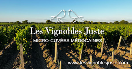 Les Vignobles Juste Vignoble à Moulis-en-Médoc
