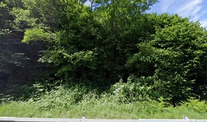 Domaine Des Forges, Vignoble à Bonnac-la-Côte