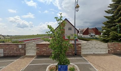 Buecher Jean-Luc, Vignoble à Wettolsheim