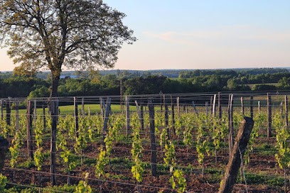 Vignobles Chaigne Et Fils, Vignoble à Saint-Laurent-du-Bois