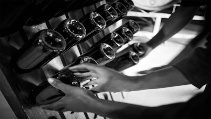 Champagne Danteny-Mangin, Vignoble à Aÿ-Champagne