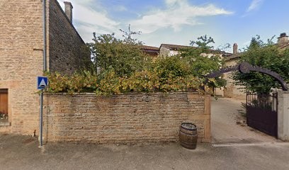 Lenoir Nicolas, Vignoble à Saint-Maurice-de-Satonnay