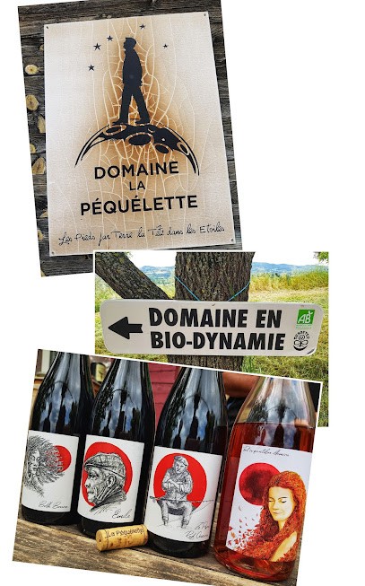 Domaine La Péquélette, Vignoble à Vinsobres