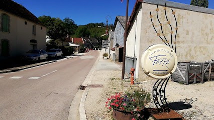 Champagne Fèvre Earl, Vignoble à Ville-sur-Arce