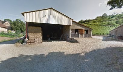 Durand Michel, Vignoble à Salles-la-Source