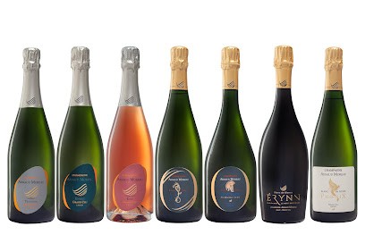 Champagne Arnaud Moreau, Vignoble à Bouzy