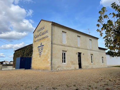 Château Gros Caillou, Vignoble à Saint-Sulpice-de-Faleyrens