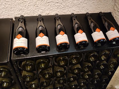 Domaine Rémy, Vignoble à Sainte-Marie-la-Blanche