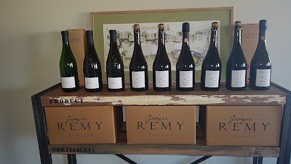 REMY Georges, Vignoble à Bouzy