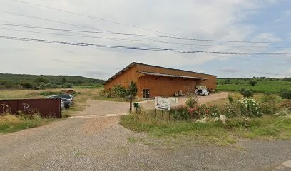 Domaine Du Clos Roca, Vignoble à Nizas