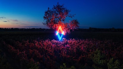 L'Affût, Vignoble à Sassay